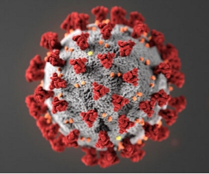 Mange vet nå hvordan et virus kan se ut