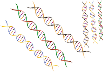 DNA vist som en dobbel spiraltråd